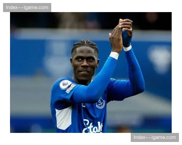 镜报：曼联夏窗头号目标仍是埃弗顿中场奥纳纳